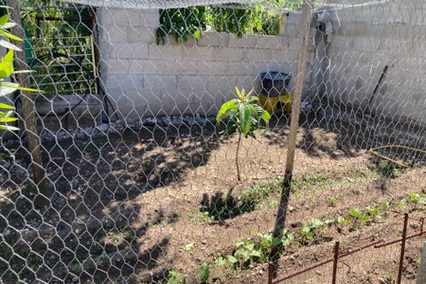 Landejendom i Vinaros, Castellon, Vinaros - € 77.000 | Ref: Finca Tranquila - foto 45